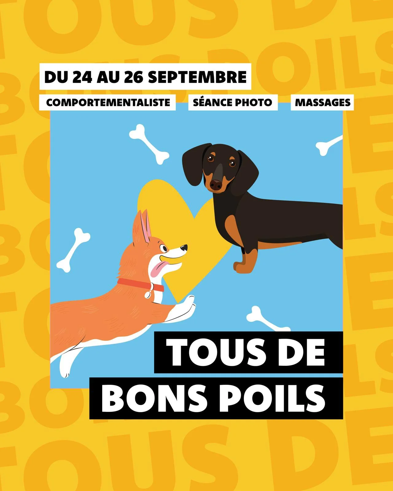 Tous de bons poils