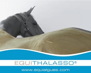 Soins thalasso EQUIALGUES®