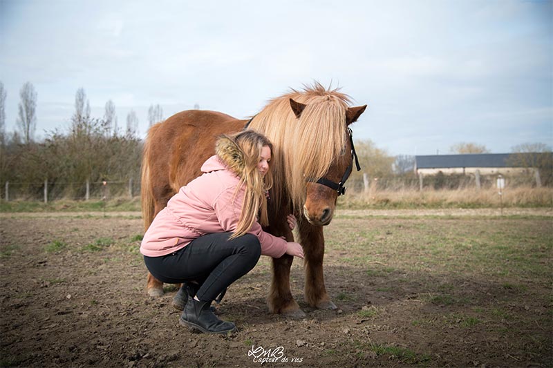 Le bien-être animal