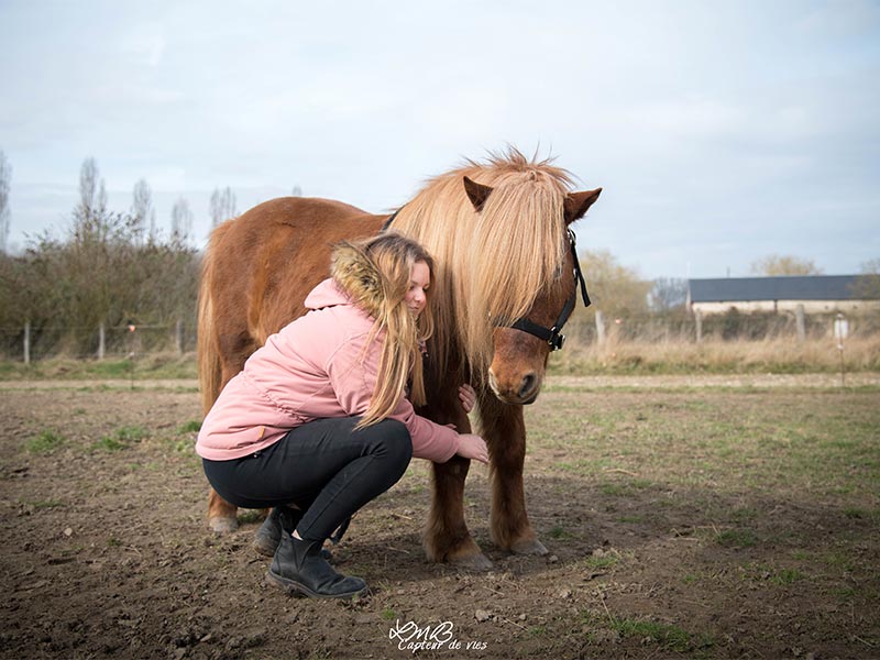 Bien-être animal